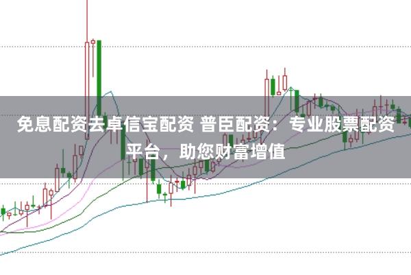 免息配资去卓信宝配资 普臣配资:专业股票配资平台,助您财富增值