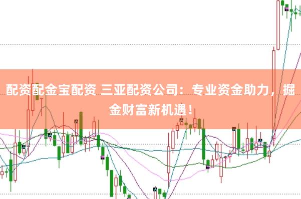 配资配金宝配资 三亚配资公司：专业资金助力，掘金财富新机遇！