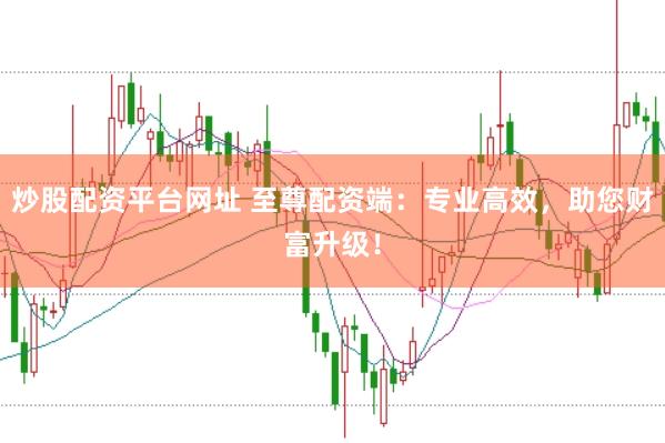炒股配资平台网址 至尊配资端：专业高效，助您财富升级！