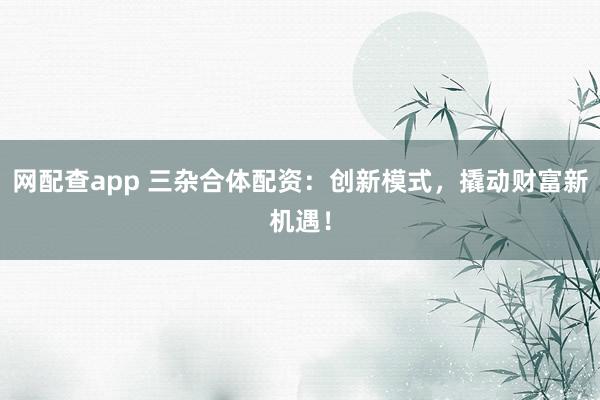 网配查app 三杂合体配资：创新模式，撬动财富新机遇！