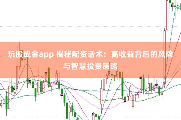 玩股成金app 揭秘配资话术：高收益背后的风险与智慧投资策略