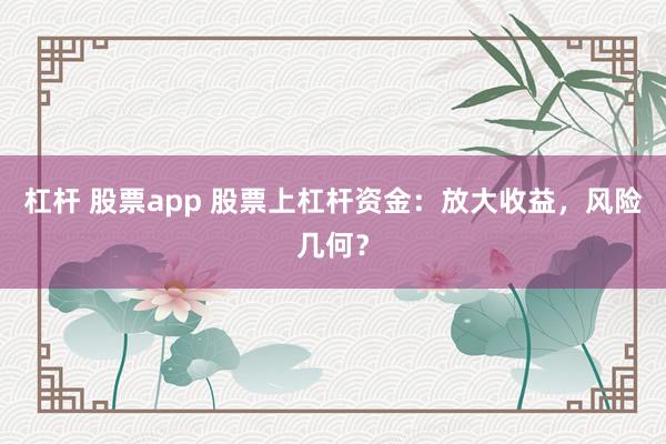杠杆 股票app 股票上杠杆资金：放大收益，风险几何？