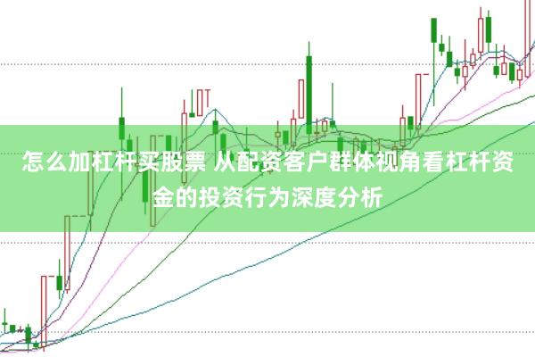 怎么加杠杆买股票 从配资客户群体视角看杠杆资金的投资行为深度分析