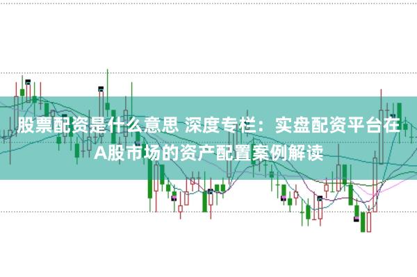 股票配资是什么意思 深度专栏:实盘配资平台在A股市场的资产配置案例解读