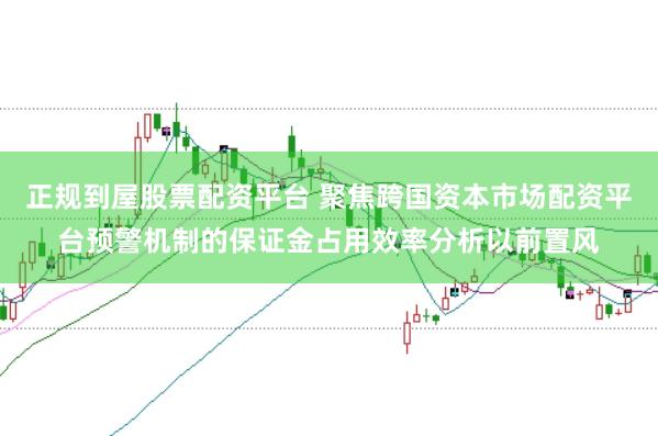 正规到屋股票配资平台 聚焦跨国资本市场配资平台预警机制的保证金占用效率分析以前置风