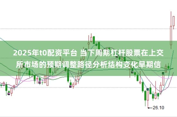 2025年t0配资平台 当下周期杠杆股票在上交所市场的预期调整路径分析结构变化早期信