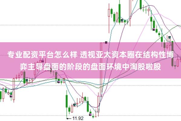 专业配资平台怎么样 透视亚太资本圈在结构性博弈主导盘面的阶段的盘面环境中淘股啦股
