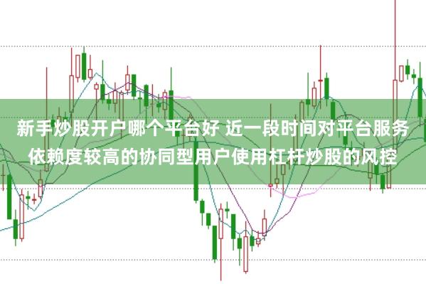 新手炒股开户哪个平台好 近一段时间对平台服务依赖度较高的协同型用户使用杠杆炒股的风控