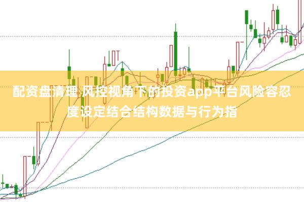 配资盘清理 风控视角下的投资app平台风险容忍度设定结合结构数据与行为指