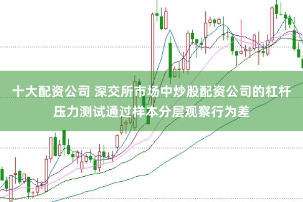 十大配资公司 深交所市场中炒股配资公司的杠杆压力测试通过样本分层观察行为差