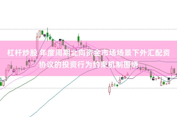 杠杆炒股 年度周期北向资金市场场景下外汇配资协议的投资行为约束机制围绕