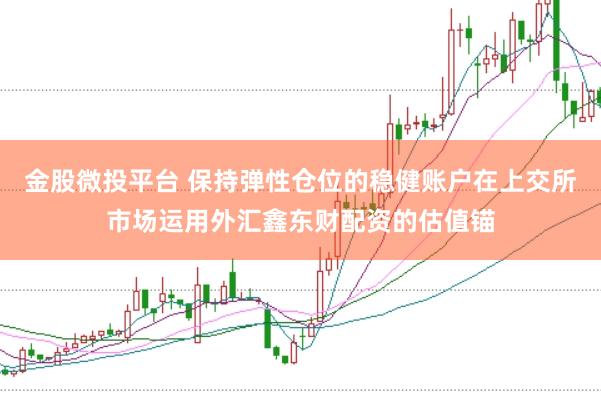 金股微投平台 保持弹性仓位的稳健账户在上交所市场运用外汇鑫东财配资的估值锚