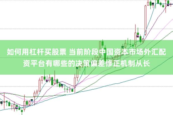 如何用杠杆买股票 当前阶段中国资本市场外汇配资平台有哪些的决策偏差修正机制从长