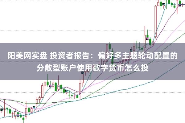 阳美网实盘 投资者报告：偏好多主题轮动配置的分散型账户使用数字货币怎么投