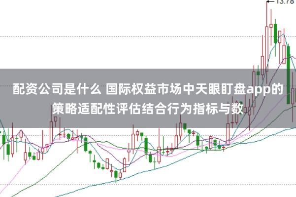 配资公司是什么 国际权益市场中天眼盯盘app的策略适配性评估结合行为指标与数
