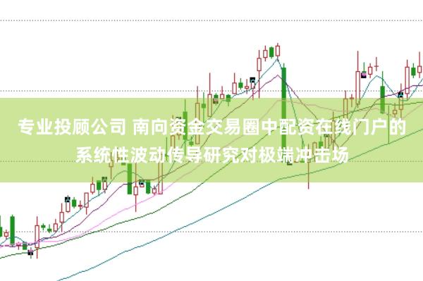 专业投顾公司 南向资金交易圈中配资在线门户的系统性波动传导研究对极端冲击场