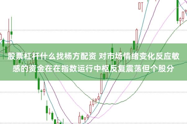 股票杠杆什么找杨方配资 对市场情绪变化反应敏感的资金在在指数运行中枢反复震荡但个股分