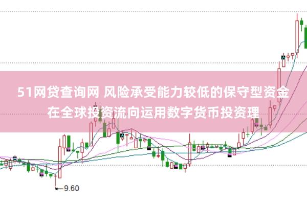 51网贷查询网 风险承受能力较低的保守型资金在全球投资流向运用数字货币投资理