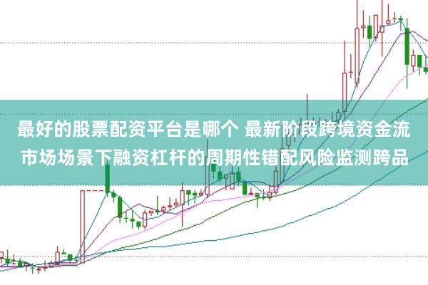 最好的股票配资平台是哪个 最新阶段跨境资金流市场场景下融资杠杆的周期性错配风险监测跨品