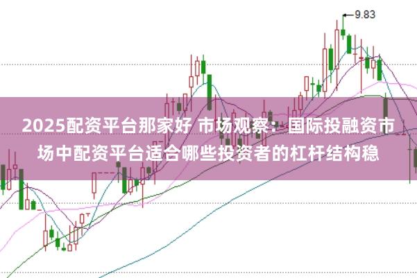 2025配资平台那家好 市场观察：国际投融资市场中配资平台适合哪些投资者的杠杆结构稳