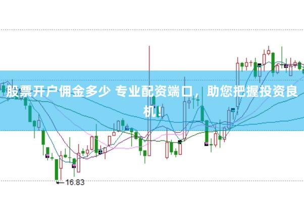 股票开户佣金多少 专业配资端口，助您把握投资良机！
