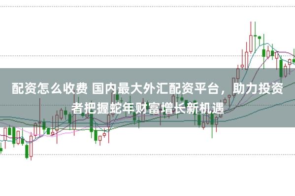 配资怎么收费 国内最大外汇配资平台，助力投资者把握蛇年财富增长新机遇