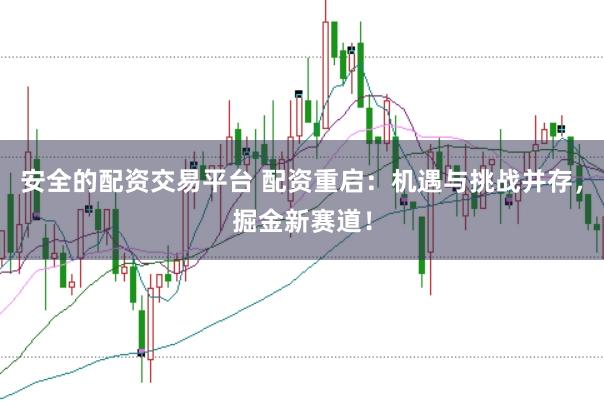 安全的配资交易平台 配资重启：机遇与挑战并存，掘金新赛道！