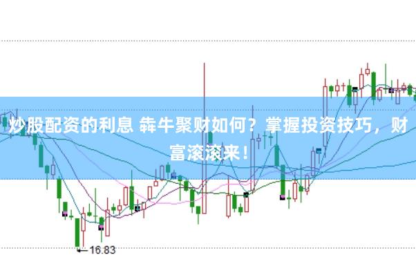 炒股配资的利息 犇牛聚财如何?掌握投资技巧,财富滚滚来!