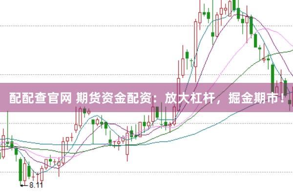 配配查官网 期货资金配资:放大杠杆,掘金期市!