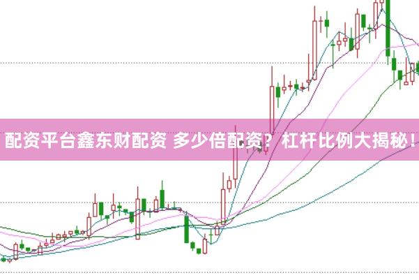 配资平台鑫东财配资 多少倍配资?杠杆比例大揭秘!