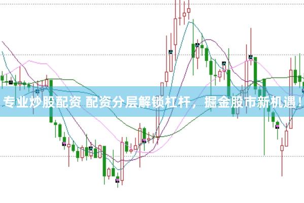专业炒股配资 配资分层解锁杠杆，掘金股市新机遇！