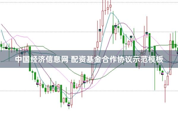 中国经济信息网 配资基金合作协议示范模板