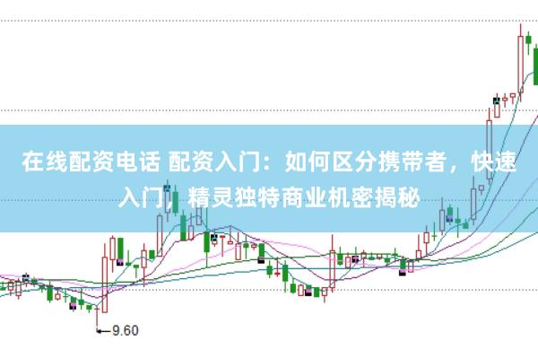 在线配资电话 配资入门：如何区分携带者，快速入门，精灵独特商业机密揭秘