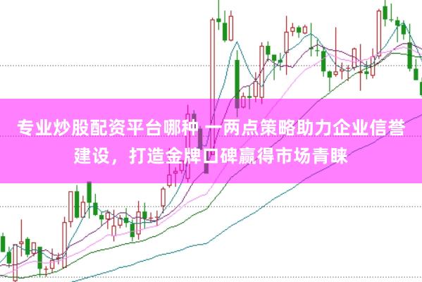专业炒股配资平台哪种 一两点策略助力企业信誉建设，打造金牌口碑赢得市场青睐