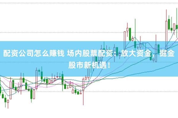 配资公司怎么赚钱 场内股票配资：放大资金，掘金股市新机遇！