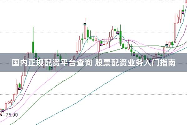 国内正规配资平台查询 股票配资业务入门指南