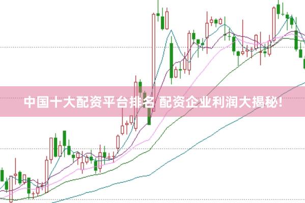 中国十大配资平台排名 配资企业利润大揭秘!