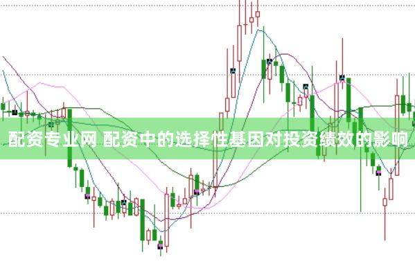 配资专业网 配资中的选择性基因对投资绩效的影响