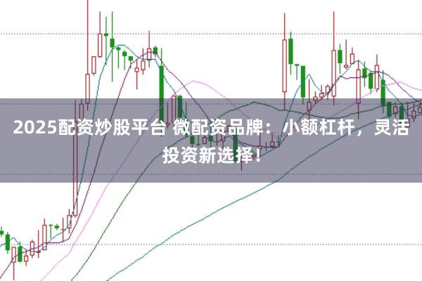 2025配资炒股平台 微配资品牌：小额杠杆，灵活投资新选择！